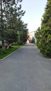 Фотография Зеленый огонек 4
