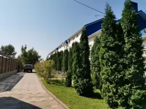 Фотография Голубая волна 2