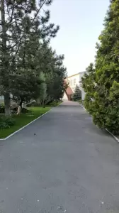 Фотография Зеленый огонек 4