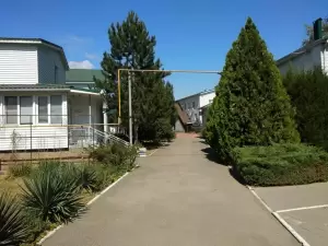 Фотография Зеленый огонек 0