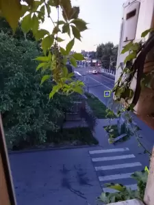 Фотография Малиновый рай 0