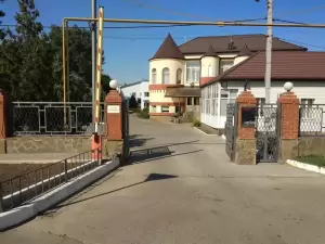 Фотография Зеленый огонек 5
